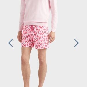 COPY - Vilebrequin Men's Pink Swim Shorts